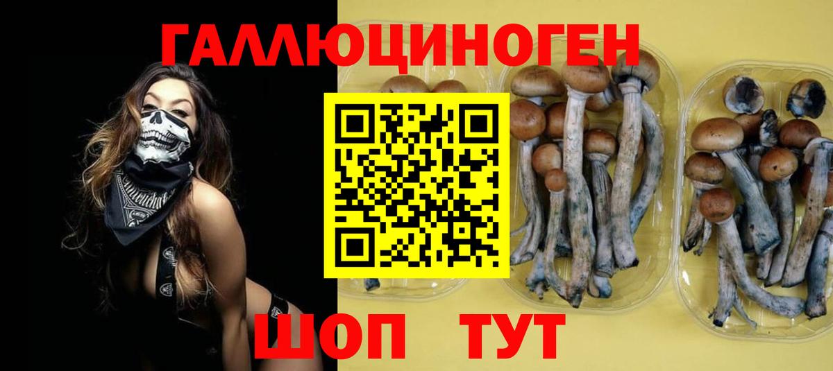 Галлюциногенные грибы Psilocybine cubensis  Вход с VPN  Псилоцибиновые грибы MAGIC MUSHROOMS  Темрюк 
